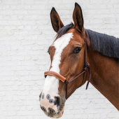 Rope Halter Grooming Deluxe Brown Rope Halter Grooming Deluxe Brown
