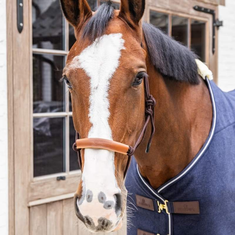 Rope Halter Grooming Deluxe Brown