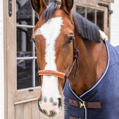 Rope Halter Grooming Deluxe Brown Rope Halter Grooming Deluxe Brown