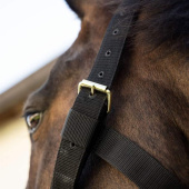 Halter Heavy Duty Black Halter Heavy Duty Black