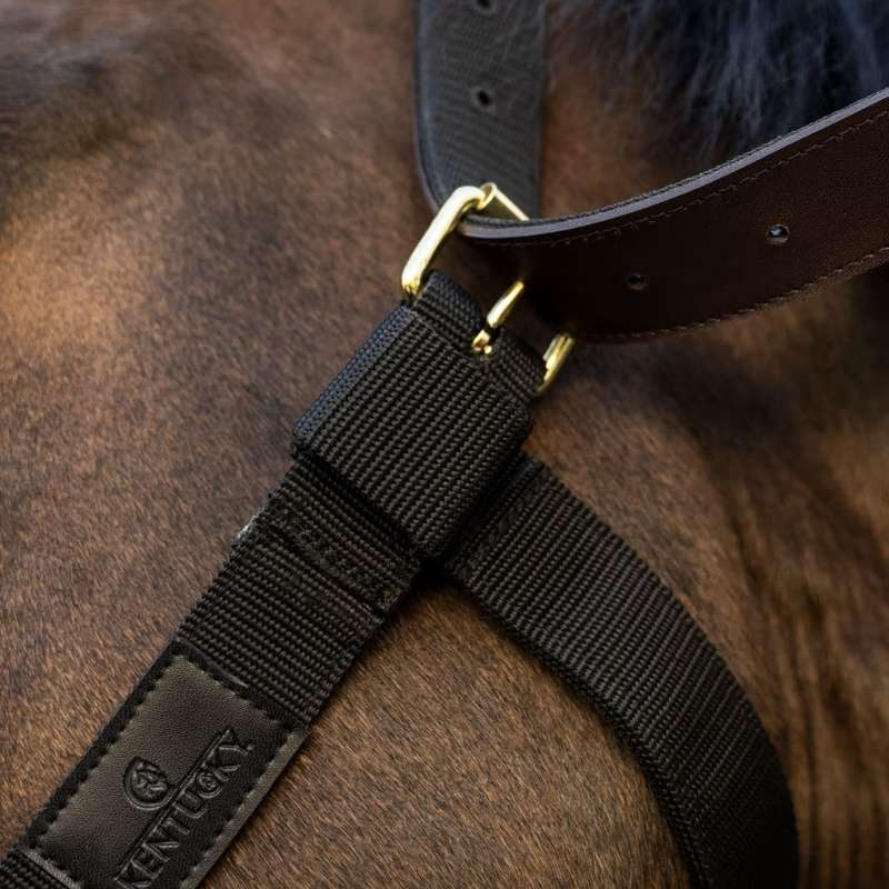 Halter Heavy Duty Black