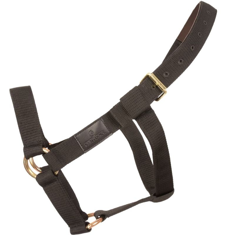 Halter Heavy Duty Black