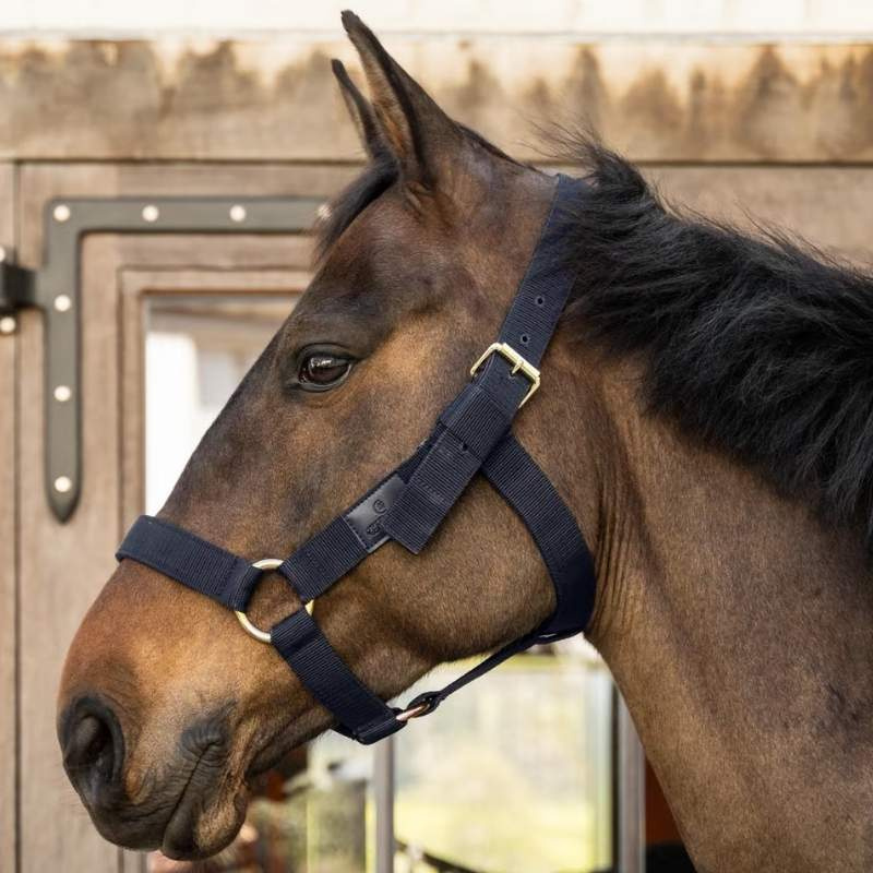 Halter Heavy Duty Navy Blue