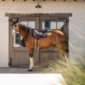 Saddle Pad Velari Black Saddle Pad Velari Black