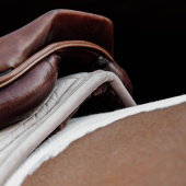 Saddle Pad Skin Friendly Velvet Beige Saddle Pad Skin Friendly Velvet Beige