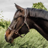 Leather Halter Artificial Anatomic Flexible Brown Leather Halter Artificial Anatomic Flexible Brown
