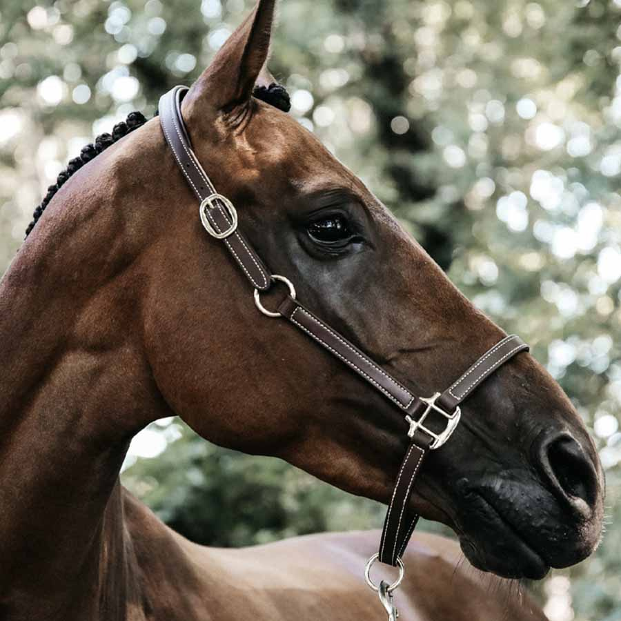 Leather Halter Artificial Anatomic Flexible Brown