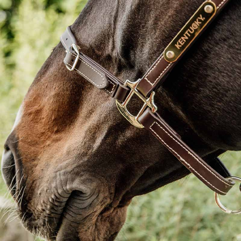 Leather Halter Artificial Anatomic Flexible Brown