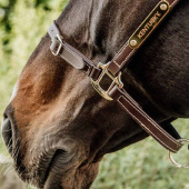 Leather Halter Artificial Anatomic Flexible Brown Leather Halter Artificial Anatomic Flexible Brown