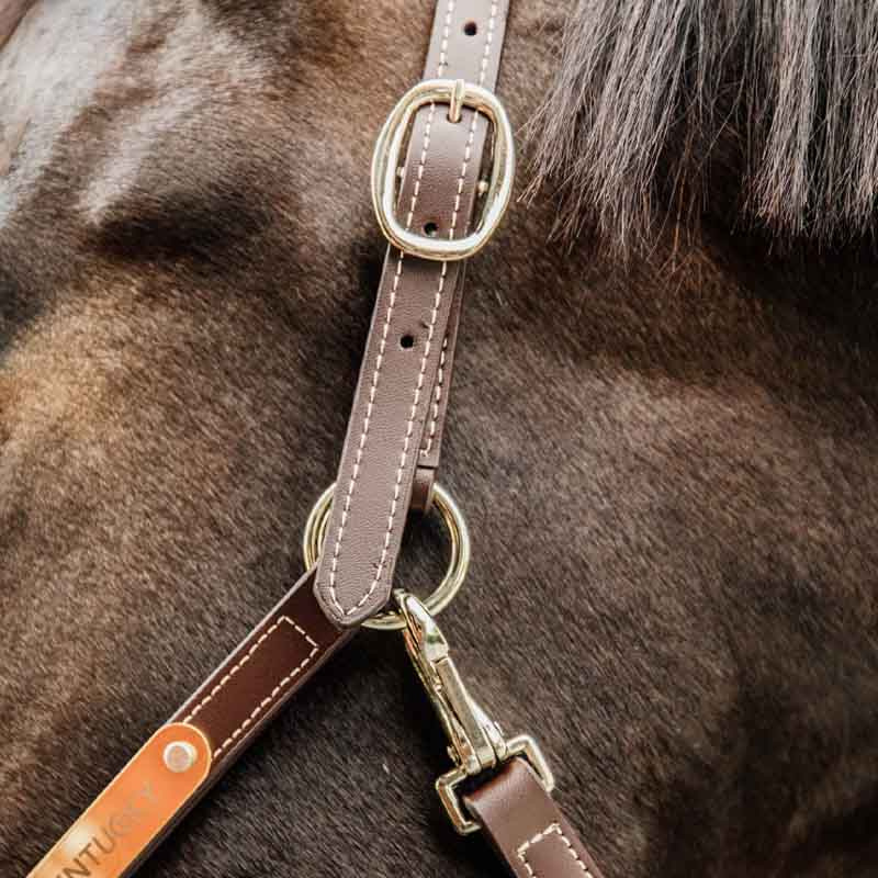 Leather Halter Artificial Anatomic Flexible Brown