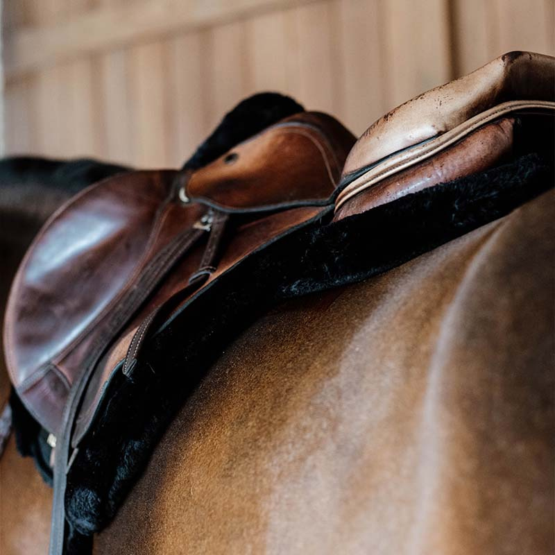 Saddle Pad Hunter Vegan Sheepskin Black