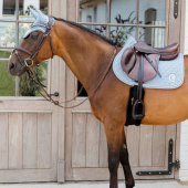 Saddle Pad Onion Quilt 3D Logo Light Blue Saddle Pad Onion Quilt 3D Logo Light Blue