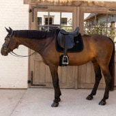 Dressage Saddle Pad Velvet Mini Pearls Black Dressage Saddle Pad Velvet Mini Pearls Black