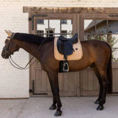Dressage Saddle Pad Velvet Mini Pearls Beige Dressage Saddle Pad Velvet Mini Pearls Beige