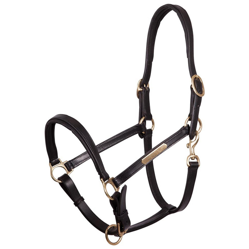 Leather Halter Padded Black/Brass