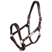 Leather Halter Padded Brown/Brass Leather Halter Padded Brown/Brass