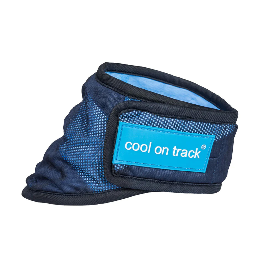 Dog Scarf/Bandana Cool On Track Blue