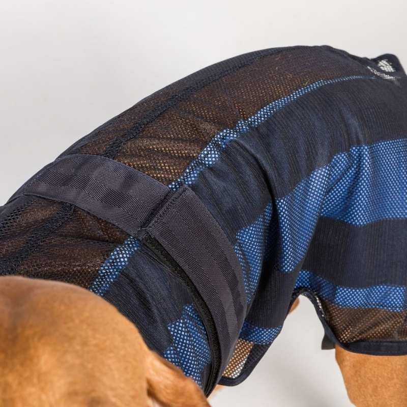 Cooling Coat Dog Cool on Track 2.0 Blue