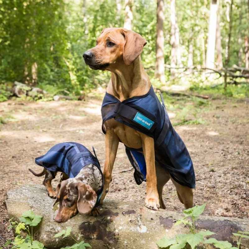 Cooling Coat Dog Cool on Track 2.0 Blue