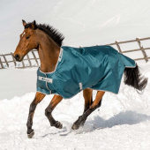 Winter Rug Atlantic Turnout 200g Green Winter Rug Atlantic Turnout 200g Green