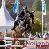 Stirrups Bow Balance Black/Silver Stirrups Bow Balance Black/Silver