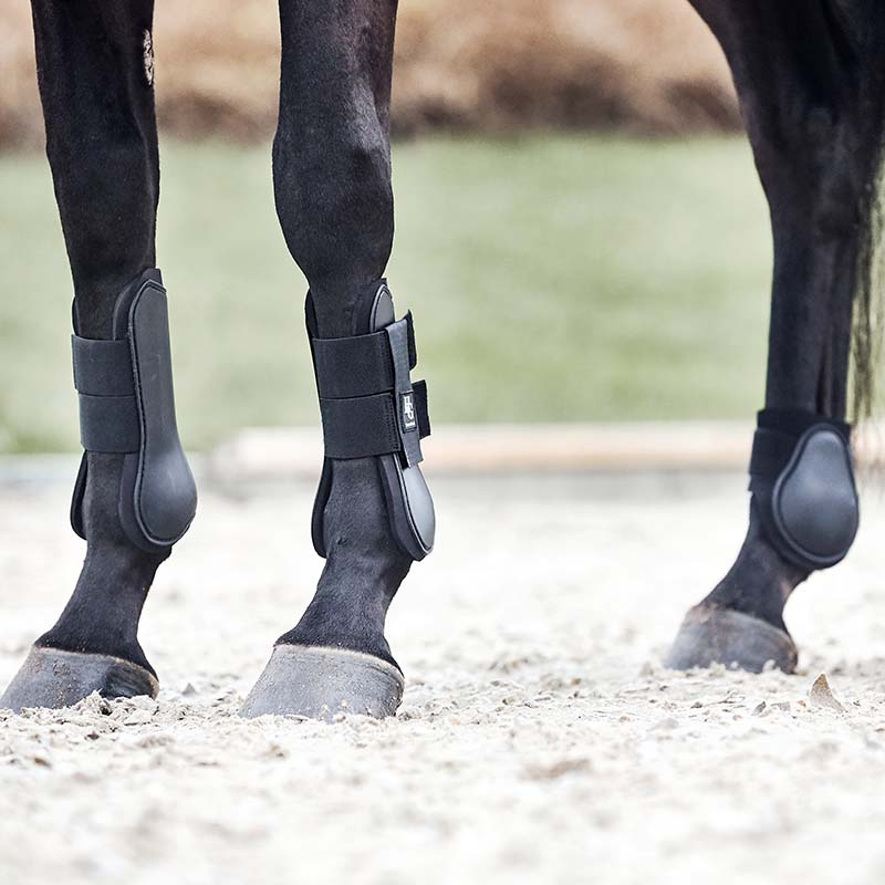 Fetlock Boots HG Black