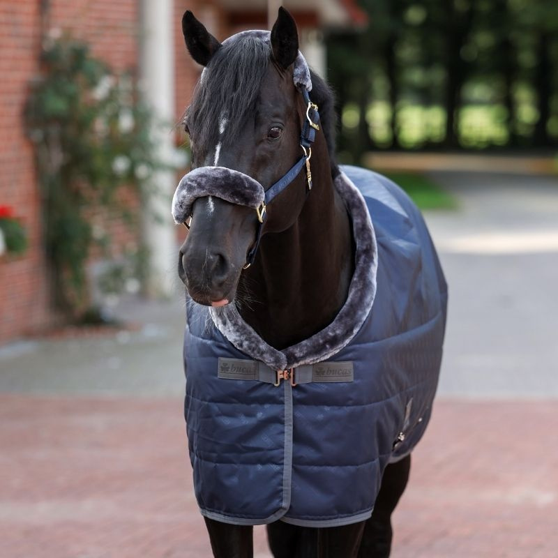 Stable Rug Show-Line 150g Navy/Grey