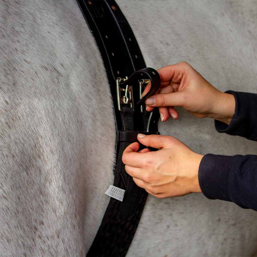 Girth to Anti-Roll Girth Black