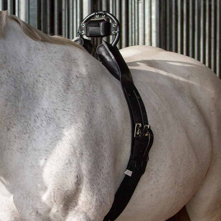 Girth to Anti-Roll Girth Black