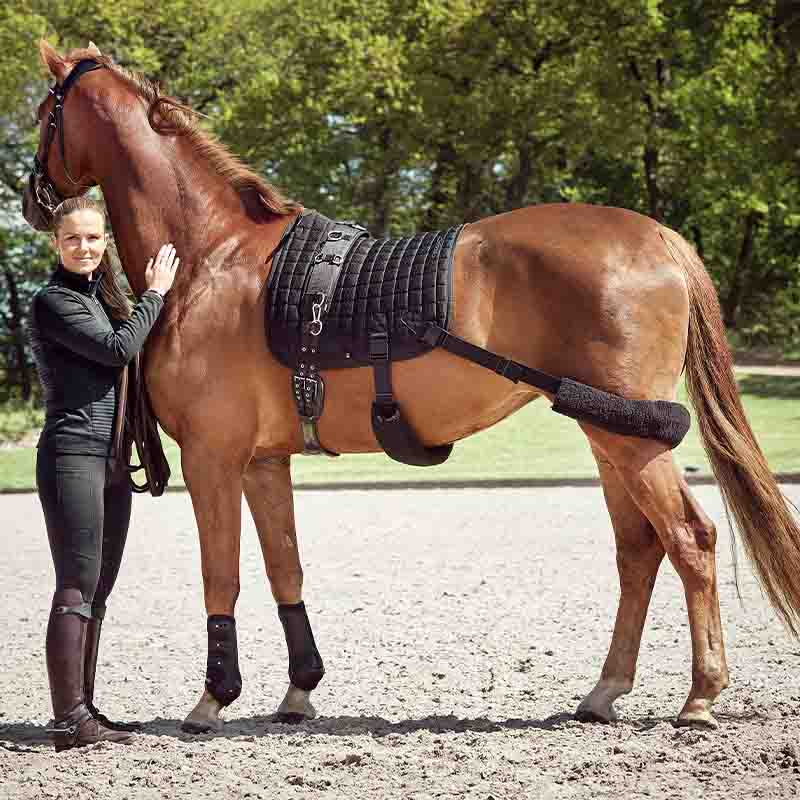 Dressage Saddle Pad Fir-Tech with Elastic Bands Black