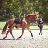 Dressage Saddle Pad Fir-Tech with Elastic Bands Black