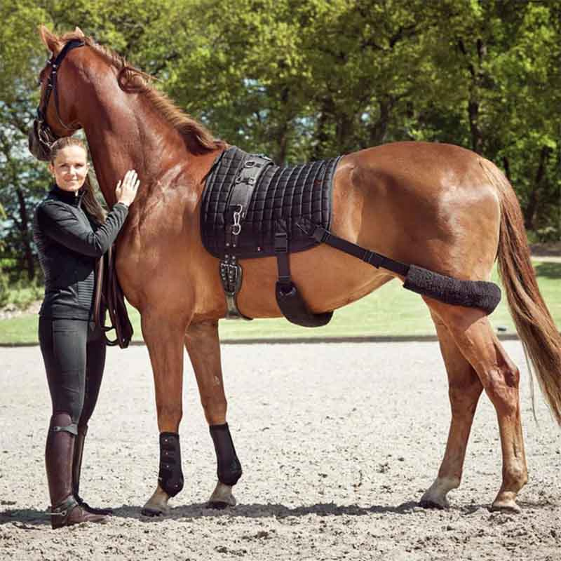 Saddle Pad Fir-Tech with Elastic Bands Black