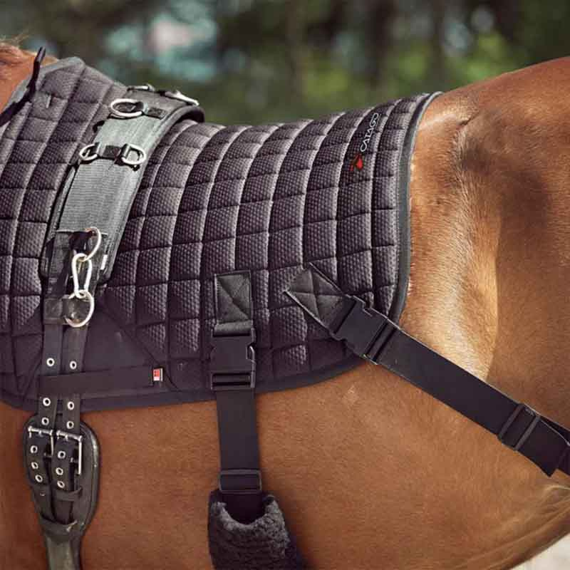 Saddle Pad Fir-Tech with Elastic Bands Black