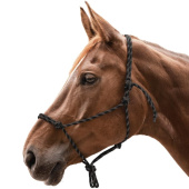 Rope Halter Knotted Black/Brown Rope Halter Knotted Black/Brown