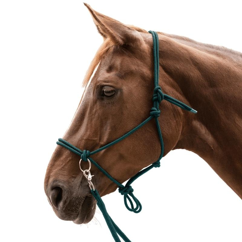 Rope Halter with Reins Knotted Green