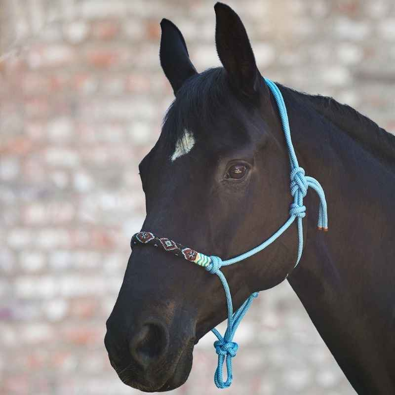Rope Halter Pearls Blue