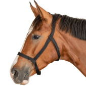 Field Halter Grazing Black Field Halter Grazing Black