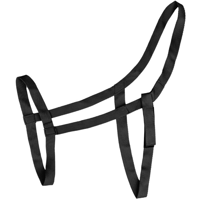 Field Halter Grazing Black