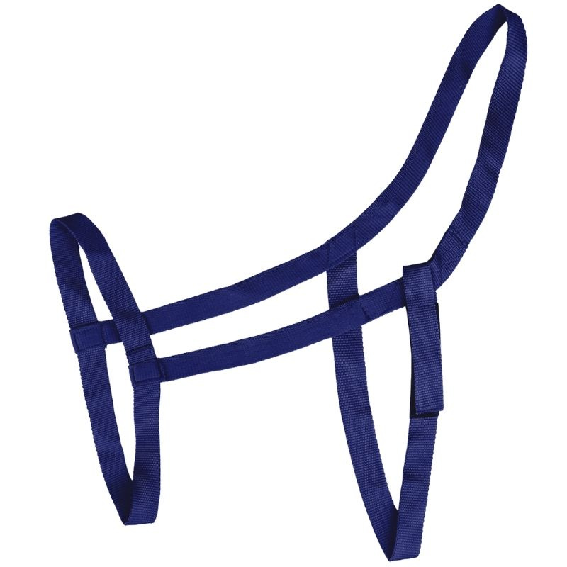 Field Halter Grazing Navy Blue