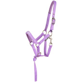 Foal Halter Malva HG Purple Foal Halter Malva HG Purple