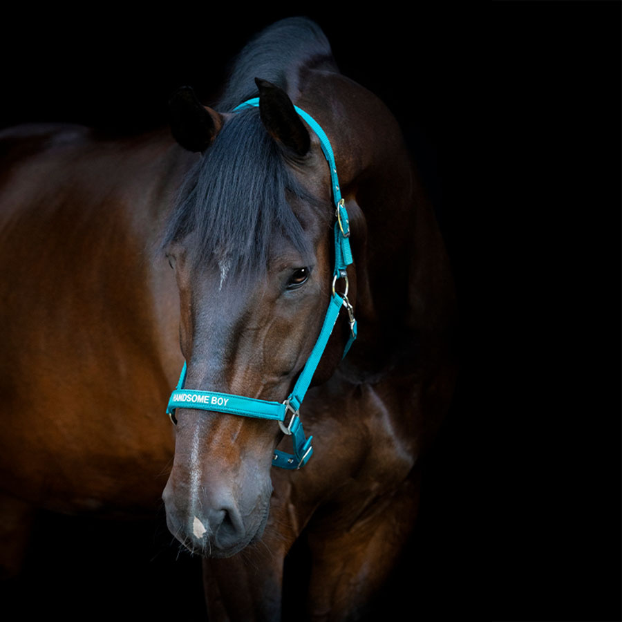 Halter Malva HG Turquoise