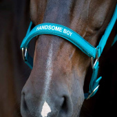 Halter Malva HG Turquoise Halter Malva HG Turquoise