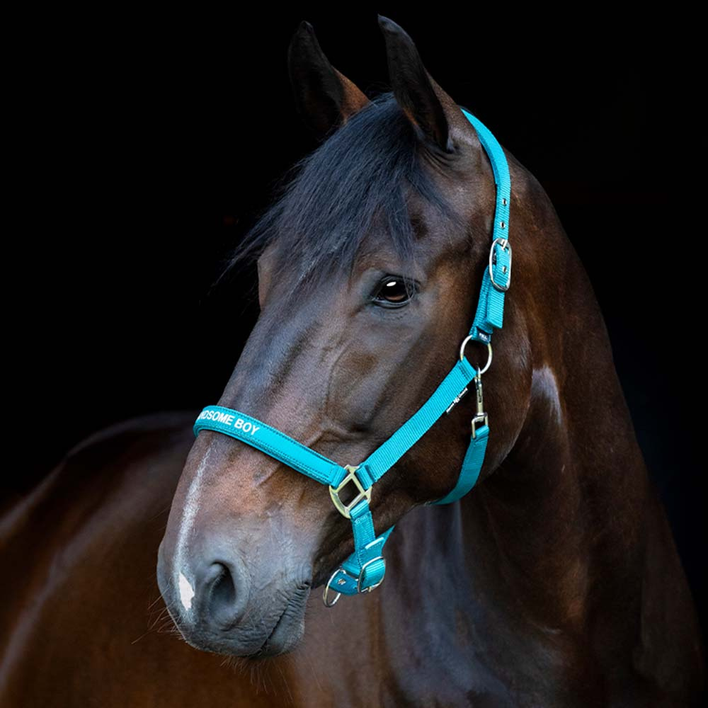 Halter Malva HG Turquoise