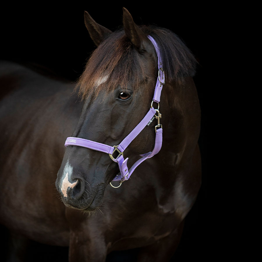 Halter Malva HG Purple