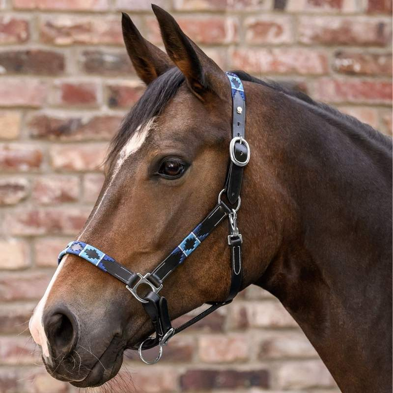 Leather Halter Polo X-Line Black/Blue