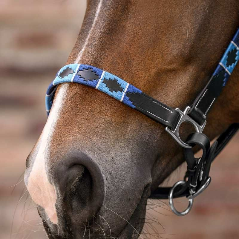 Leather Halter Polo X-Line Black/Blue