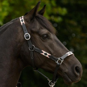 Leather Halter Polo X-Line Black/Pink Leather Halter Polo X-Line Black/Pink