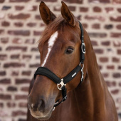 Halter Breath Black Halter Breath Black