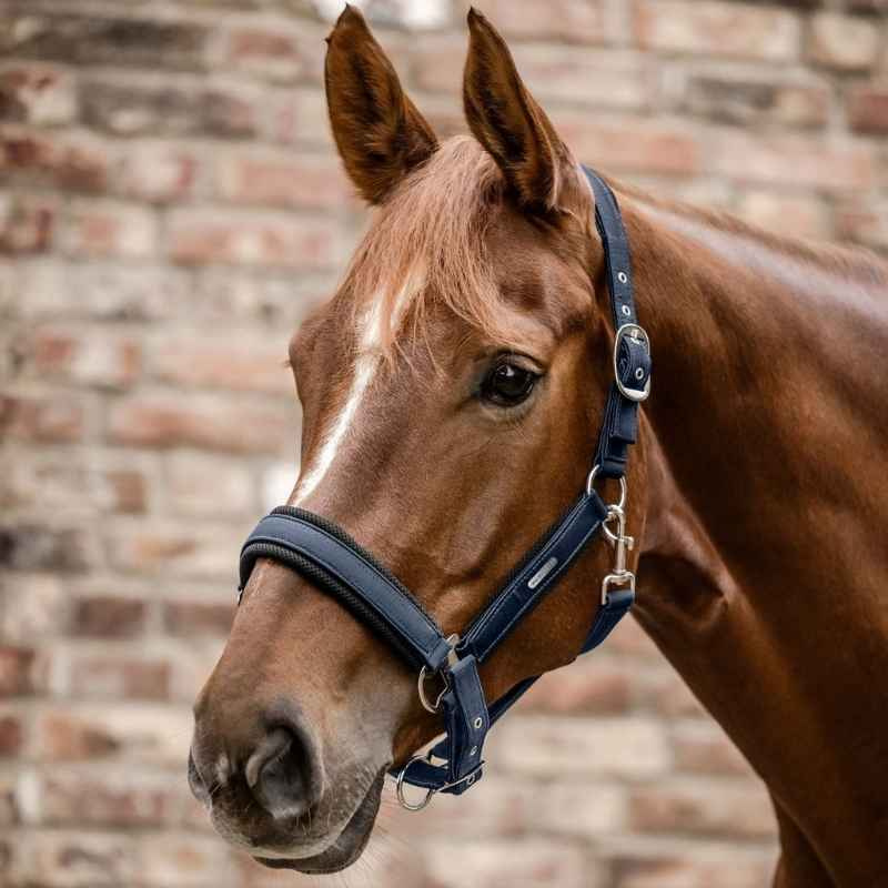 Halter Breath Navy Blue