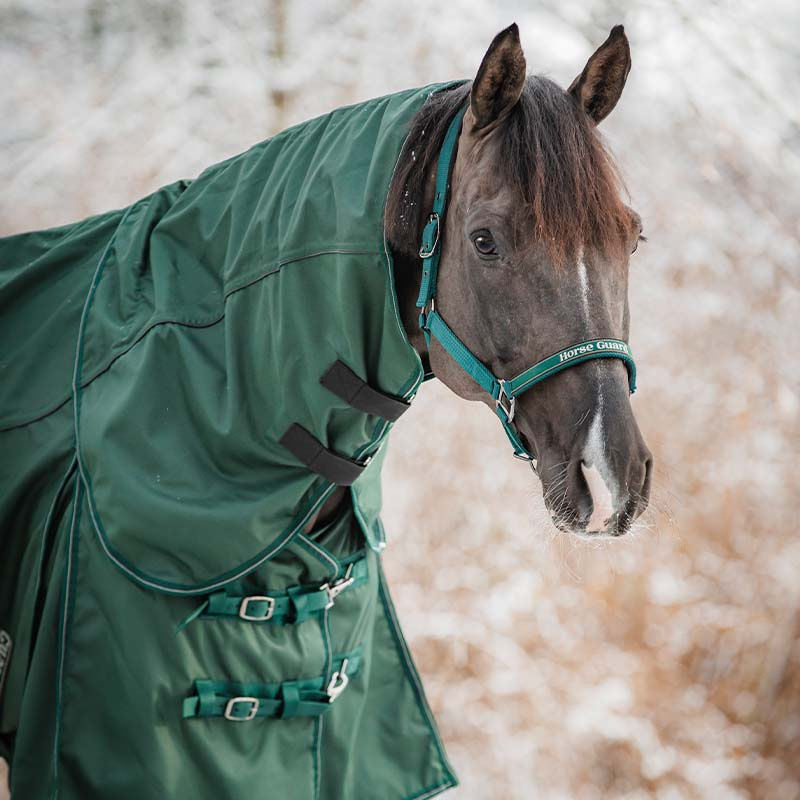 Rain Rug Adapting 1200D G HG Green